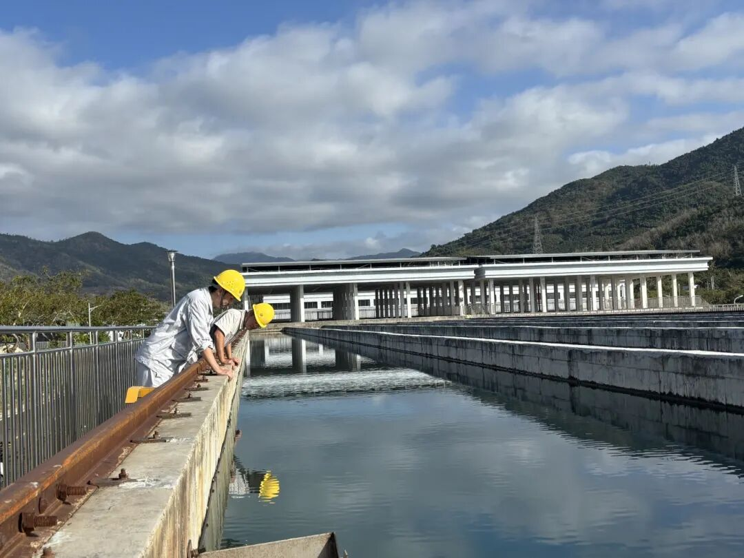 實干開新局  三亞環(huán)農(nóng)集團吹響全面復(fù)工復(fù)產(chǎn)“集