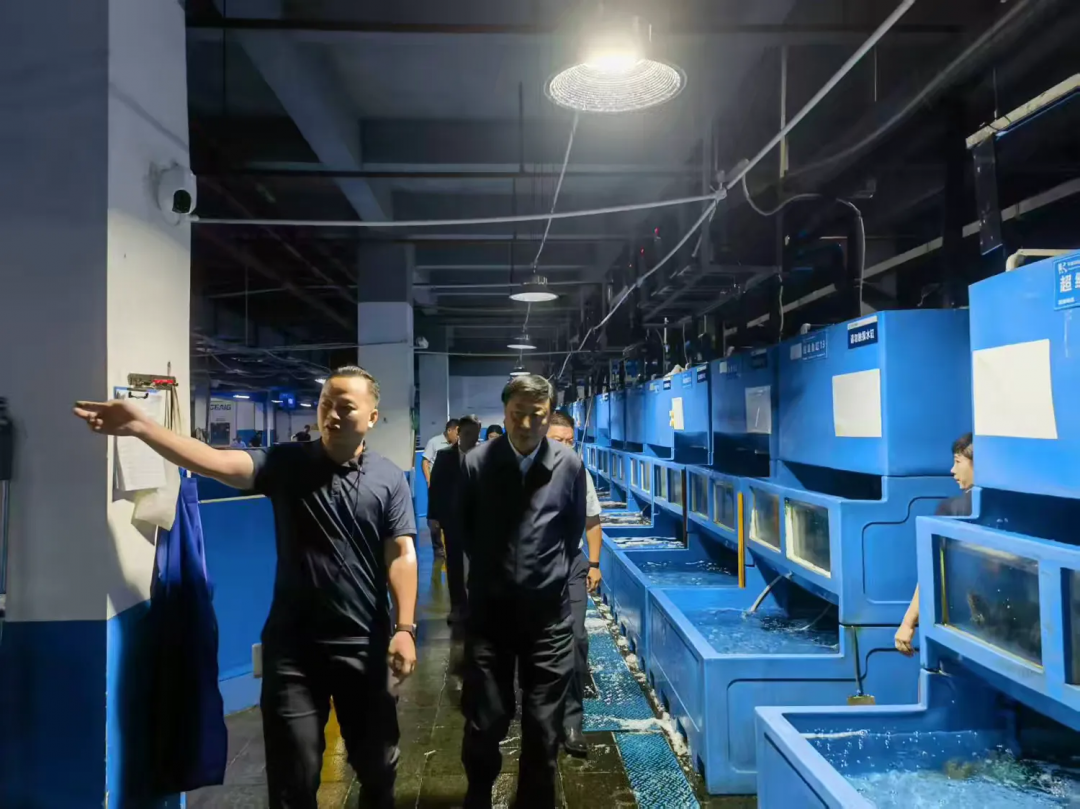 劉耿調(diào)研三亞環(huán)農(nóng)海鮮集采分銷中心運營情況 